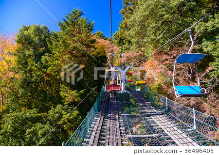 Take a lift to Mt. Takao where the leaves fall 36496405