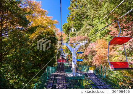 Take a lift to Mt. Takao where the leaves fall Take a lift to Mt. Takao where the leaves fall 36496406