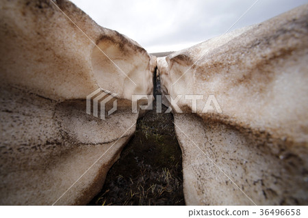 Small grass under ice 36496658