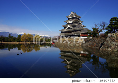 松本城 36497112