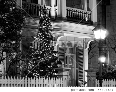 Kobe's December Former Settlement 15th Building at Night (Monochrome) 36497385