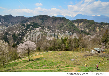 信州景觀美化長野縣山倉池田町 36497430