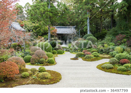 Ryuzen Temple Garden (from the main hall to see the Niimen Gate) 36497799