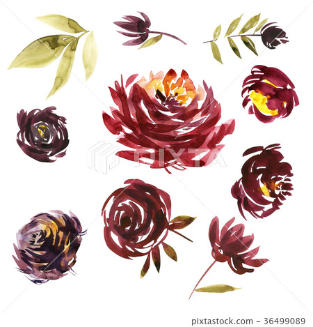 Watercolor floral set. Colorful purple floral Watercolor floral set. Colorful purple floral 36499089