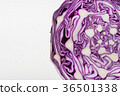 Red cabbage 36501338
