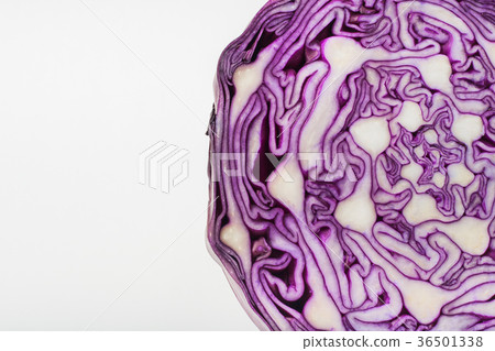 Red cabbage 36501338