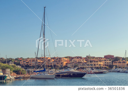 Yachts in the port. Yachts in the port. 36501836