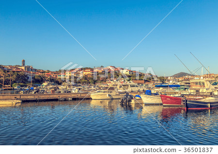 Yachts in the port. Yachts in the port. 36501837