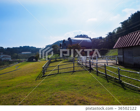 Kogen plateau in Tango Amanohashidate Oeyama Quasi-National Park A plateau resort where you can meet animals Kogen plateau in Tango Amanohashidate Oeyama Quasi-National Park A plateau resort where you can meet animals 36502122