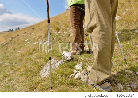 Young hikers walking with trekking poles Young hikers walking with trekking poles 36502334