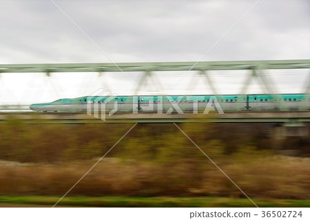 Shinkansen Hayabusa褲子 36502724