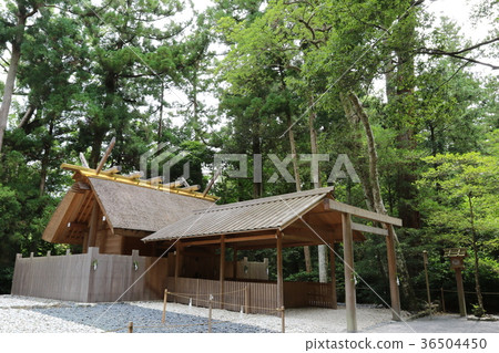 伊勢神社 36504450