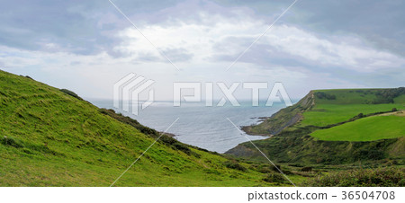 Panoramic view of Jurassic Coast Panoramic view of Jurassic Coast 36504708