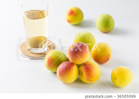 Plum wine and Minamitakaume Plum wine and Minamitakaume 36505099