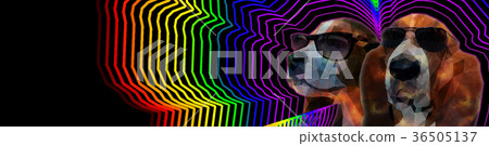 抽象的狗 抽象的狗 36505137