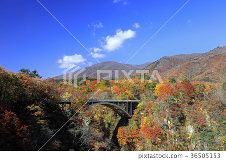 Autumn leaves of Naruko Gorge 01 36505153