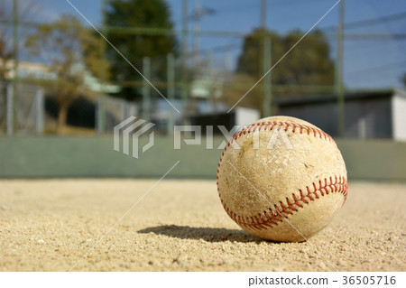 球和後網 36505716