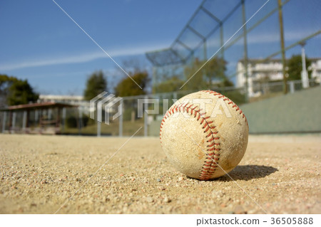Ball and back net Ball and back net 36505888