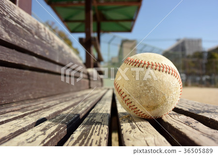 Ball on the bench Ball on the bench 36505889