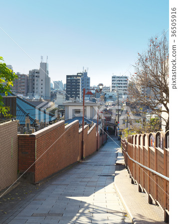 Arakawa Ward Fujimisaka 36505916