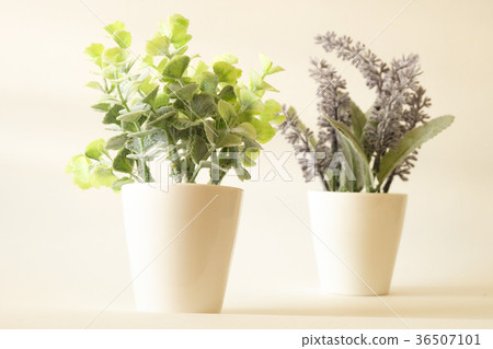 tree in green and lavender in pot in soft tone 36507101