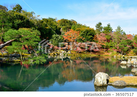 Tenryu-ji寺廟Soogen池塘庭院在秋天 36507517