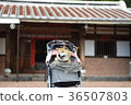 Shiba Inu riding a buggy. 36507803