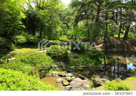 Fresh green garden garden Fresh green garden garden 36507865