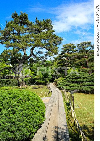 Fresh green garden garden Fresh green garden garden 36507876