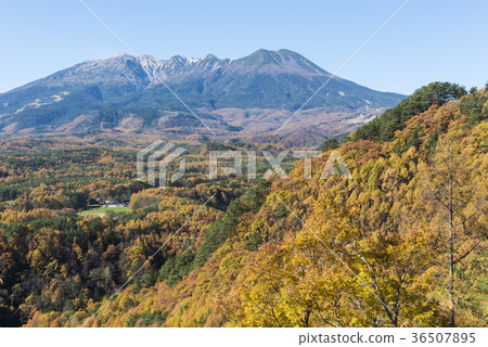 Jizou和Mt. Ontake秋天的九龍 36507895