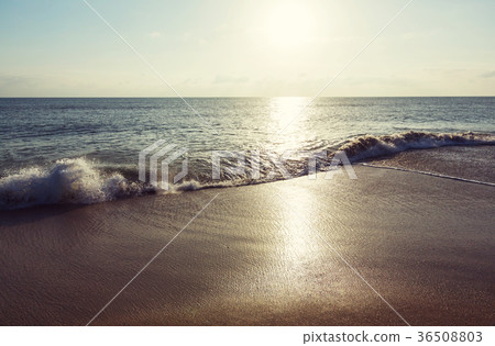 Sea sunset Sea sunset 36508803