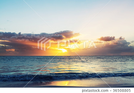 Sea sunset Sea sunset 36508805