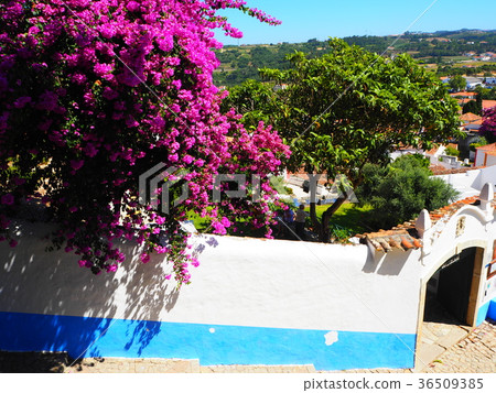 Portugal, Obidos Portugal, Obidos 36509385