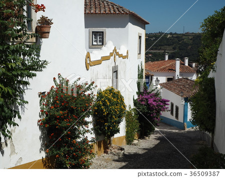 Portugal, Obidos Portugal, Obidos 36509387