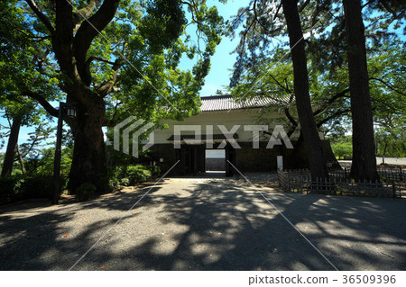 小田原城 36509396