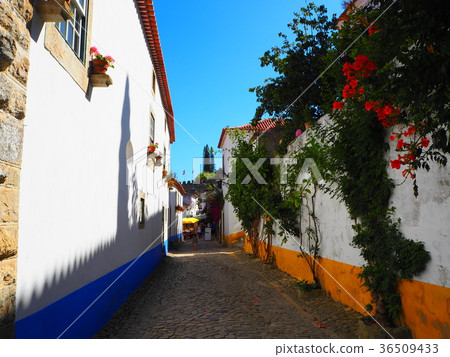 Portugal, Obidos 36509433