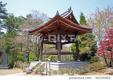 Maeyamaji Maeyamaji 36509968