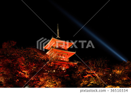 Kiyomizu寺彩色的葉子亮起來 36510334
