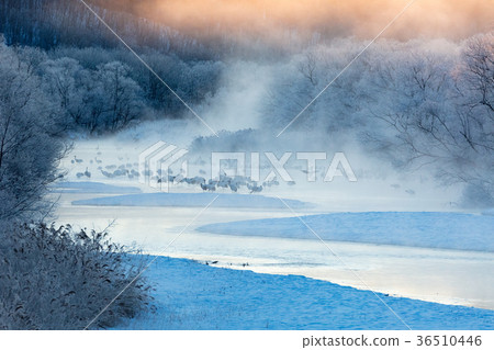 The dawn of a crane that floats in the river mist Otowa Bridge Tsurui Village The dawn of a crane that floats in the river mist Otowa Bridge Tsurui Village 36510446