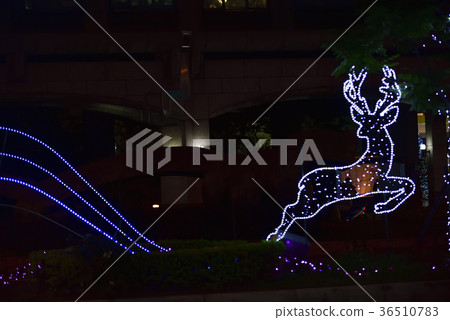 夜景,聖誕節,耶誕節,麋鹿,歡樂聖誕節,節慶,氣氛,平安夜,西洋節日,新年,聖誕氣氛,聖誕樹 夜景,聖誕節,耶誕節,麋鹿,歡樂聖誕節,節慶,氣氛,平安夜,西洋節日,新年,聖誕氣氛,聖誕樹 36510783