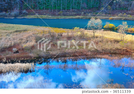 Late autumn Akifan lake Akita Late autumn Akifan lake Akita 36511339