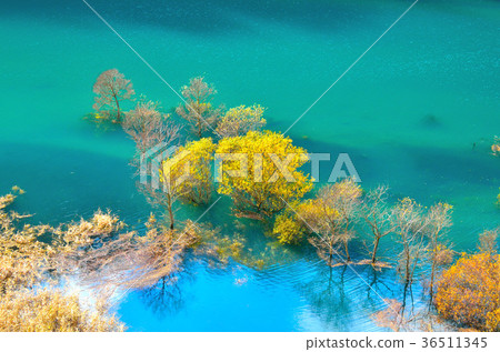 Late autumn Akifan lake Akita 36511345