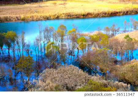 Late autumn Akifan lake Akita Late autumn Akifan lake Akita 36511347