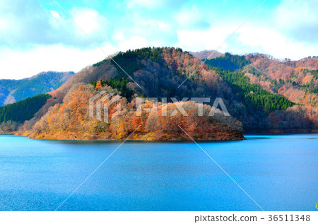 Late autumn Akifan lake Akita Late autumn Akifan lake Akita 36511348