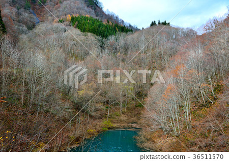 Lake Hosen Akita Prefecture in the late fall 36511570