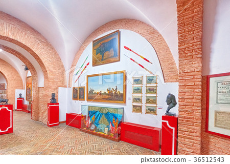 Interior bullfighting Museum . Interior bullfighting Museum . 36512543