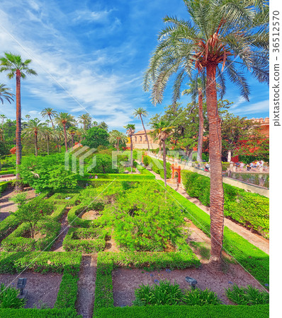 图库照片 panoramic view of big and beautiful garden.