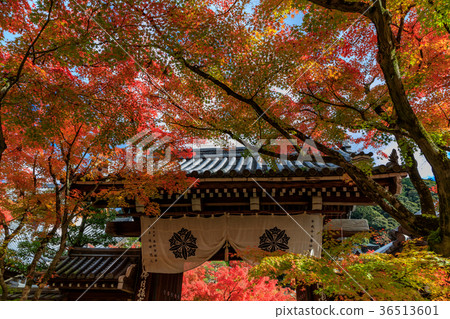 Kyoto Eikando in the fall 36513601