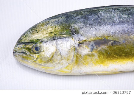 Shiira成分 36513797