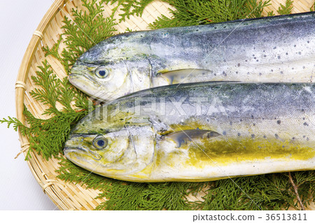 Shiira ingredients 36513811